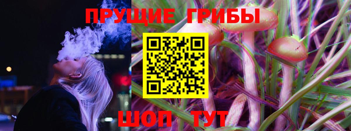 Псилоцибиновые грибы Psilocybe  Вход с VPN  сколько стоит  Красноуфимск 